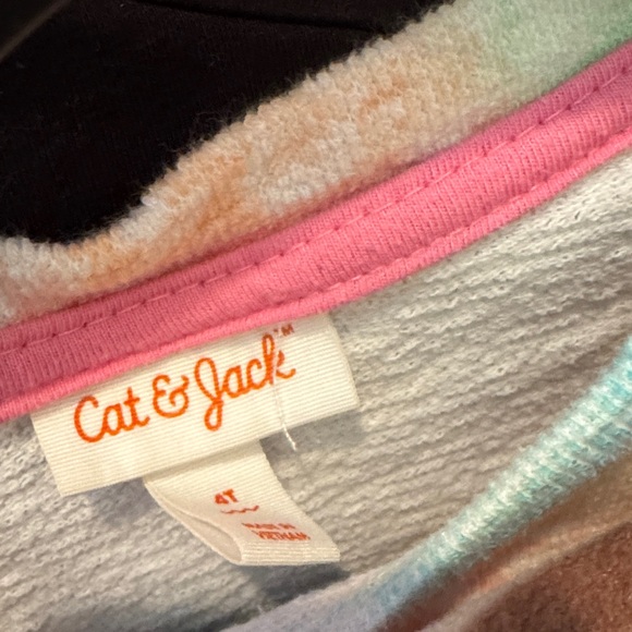 Cat & Jack and Various Brand Girls 4T Lot. - Picture 5 of 11